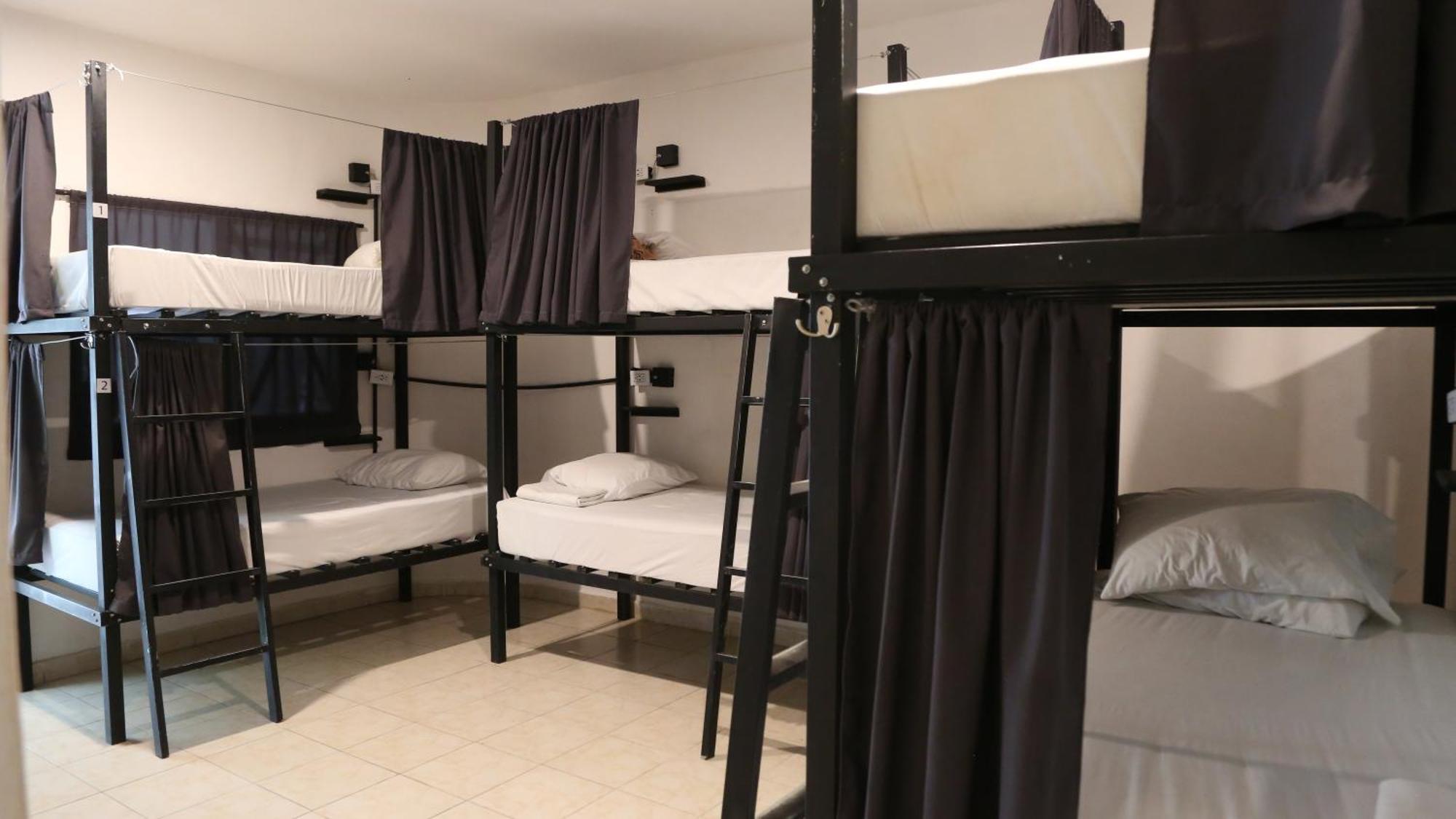 Single Bed 6-Bed Dormitory Room